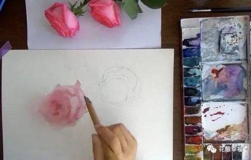 绘画基础入门教程