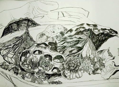 绘画学专业的魅力与前景