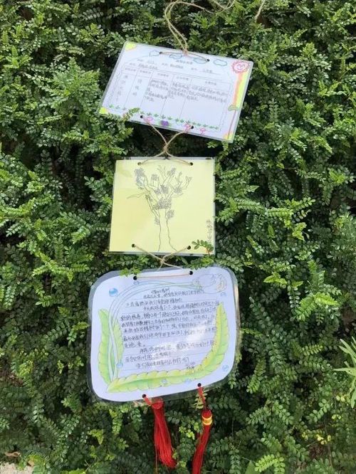 绘画比赛信息卡全解析：规则、流程与参赛指南