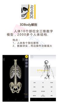 智能绘画辅助人体模型应用：艺术创作的革新工具