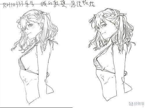 基础绘画入门教程自学指南
