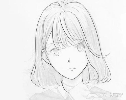绘画新手入门指南:从零开始的艺术之旅