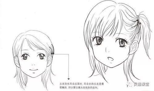 动漫绘画基础入门指南:从零开始掌握绘画技巧