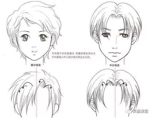 动漫人物绘画基础入门指南