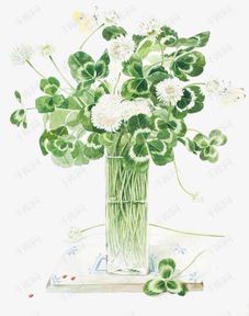 植物绘画的艺术魅力与实用价值