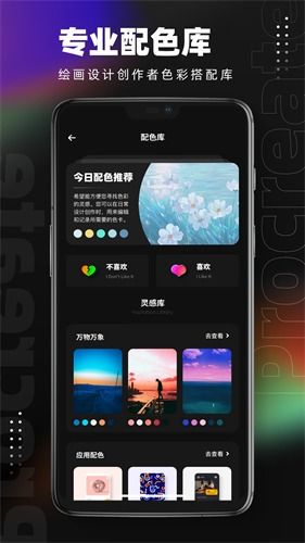 Procreate官方免费下载指南