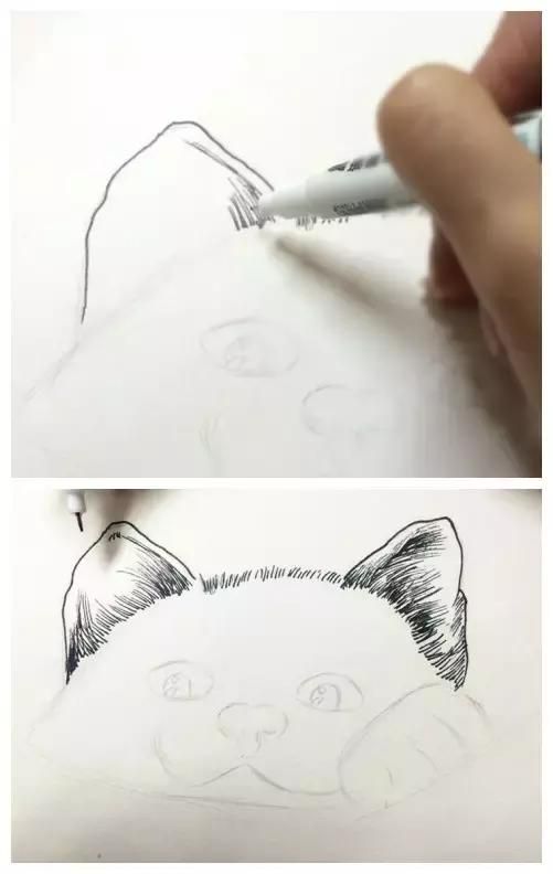零基础绘画入门视频教程指南