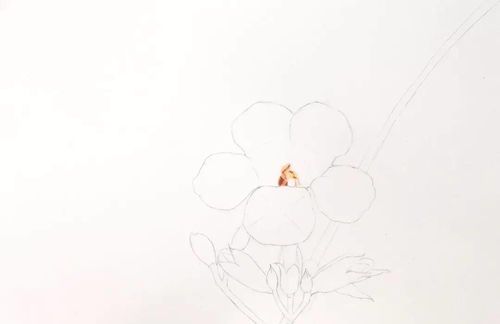 新手学画画基础教程:从零开始掌握绘画技巧