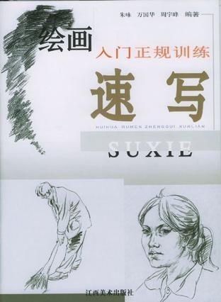 绘画入门正规训练:从基础到进阶的系统学习指南
