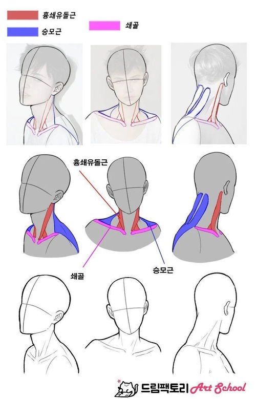 绘画素材真人的应用与创作技巧