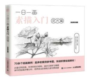 一日一画素描入门：从零开始的绘画之旅