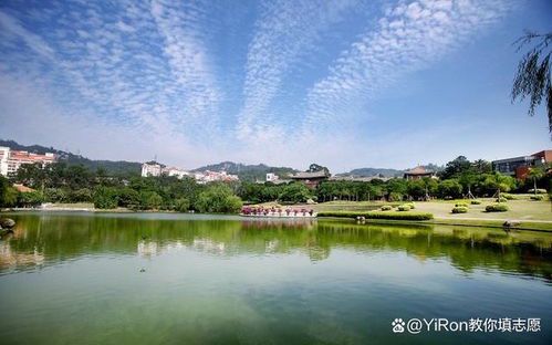 厦门大学绘画专业课程体系解析