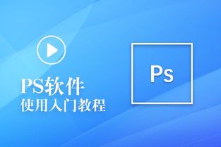 绘画软件推荐:专业工具助力创作