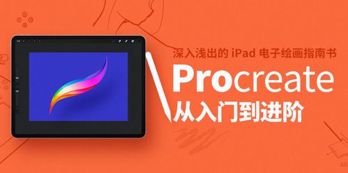 Procreate绘画软件入门指南