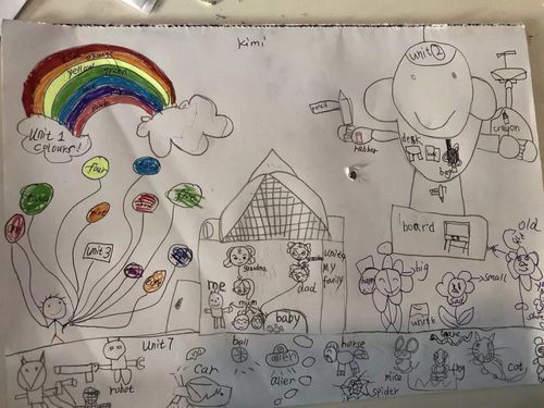 绘画基础教学:从入门到精通的系统指南