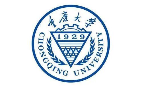重庆大学绘画专业课程体系解析
