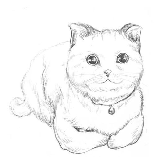 猫咪绘画素材指南:从基础到创意表现