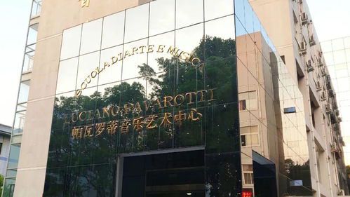 河南师范大学绘画专业课程体系解析