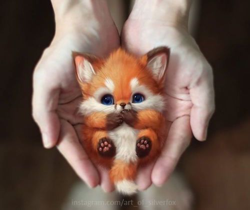 宠物绘画英语：艺术与语言的完美结合