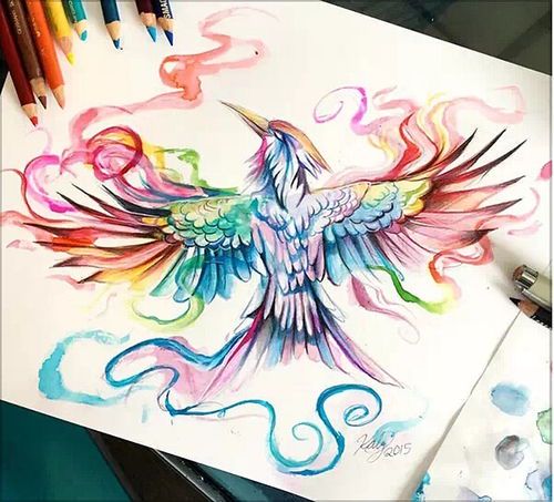 彩铅绘画作品欣赏与创作指南