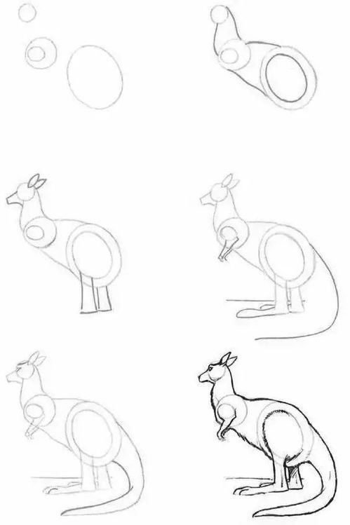 绘画素材简笔画:从入门到精通的艺术指南