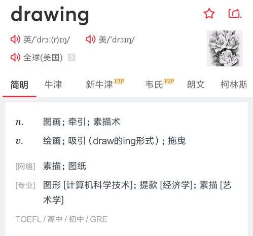 绘画的英文怎么说**