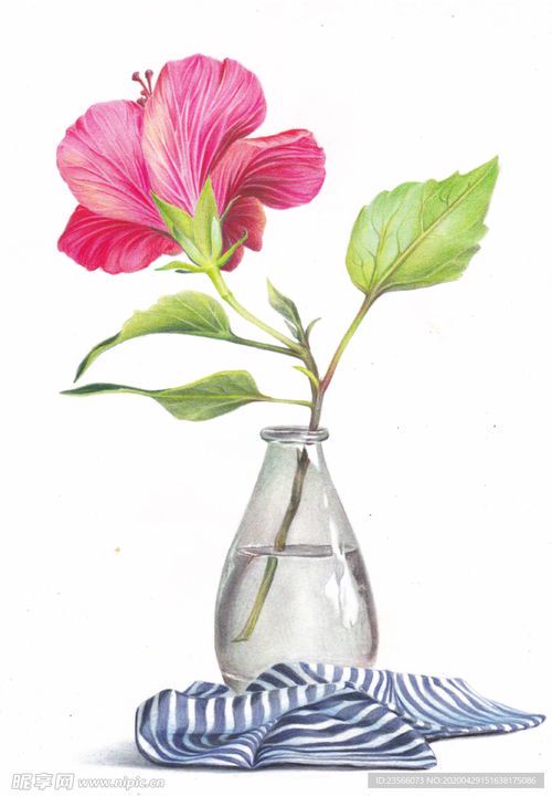 花卉绘画素材的灵感与应用
