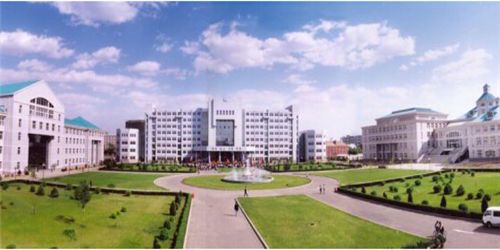 沈阳大学绘画专业课程体系解析
