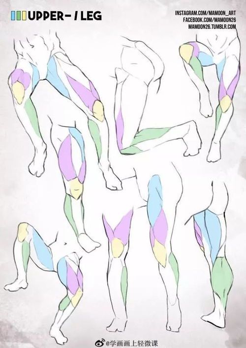 绘画参考全身:人体结构与动态表现指南
