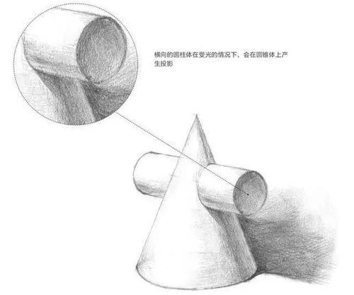 素描入门零基础教程:从线条到立体的艺术之旅