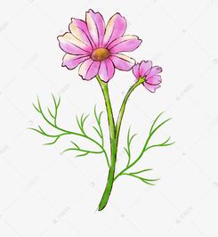 花朵绘画素材的创意与应用指南