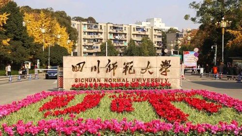 四川师范大学绘画专业核心课程与培养方向