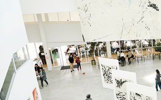 美术专业大学的特色与前景