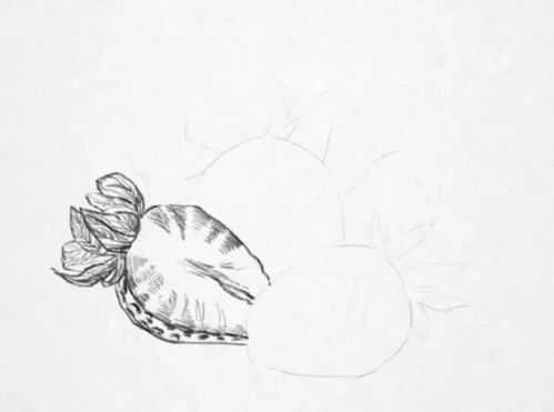 零基础学画画入门指南:从线条到色彩的完整教程