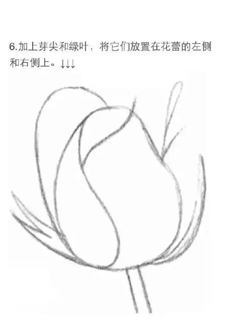 半朵玫瑰半只蝶:诗意交织的绘画指南