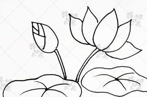 简单绘画素材图片的创意与应用