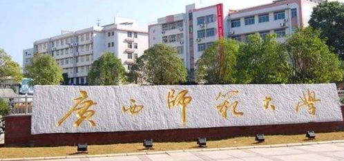 广西师范大学绘画专业课程体系解析
