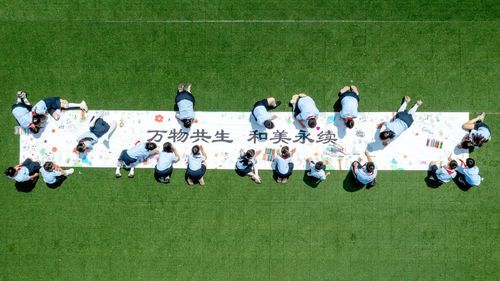 **万物共生·和美永续：用画笔诠释生命与自然的和谐诗篇**