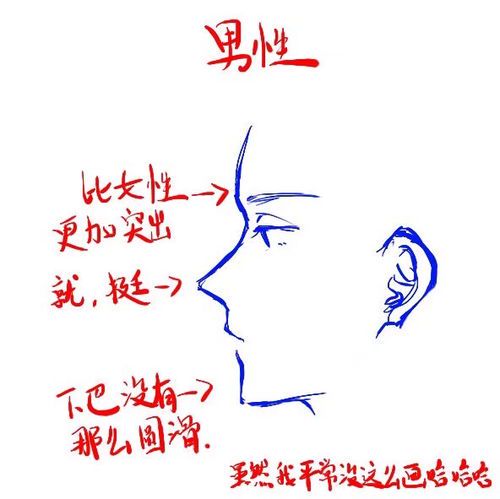 绘画中的侧脸表现技巧与参考要点