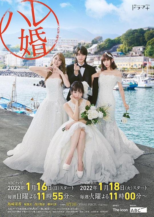 后宫婚电视剧全9集