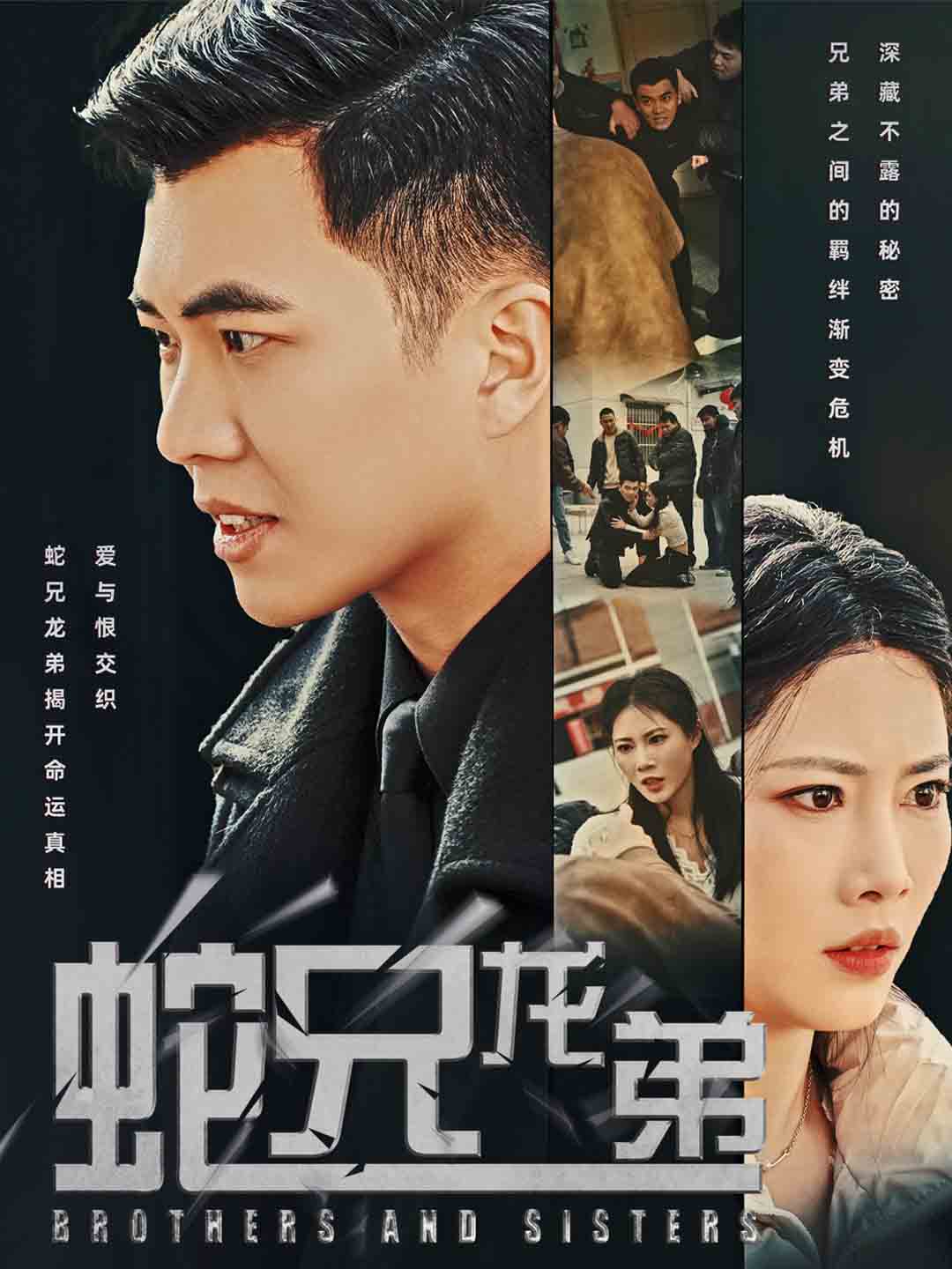 蛇兄龙弟短剧全60集