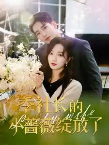 季社长的小蔷薇绽放了短剧全60集