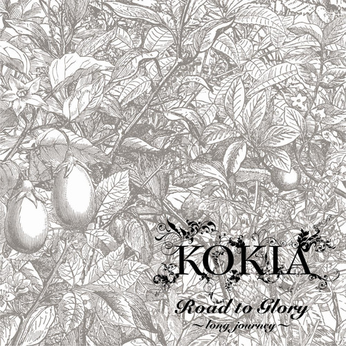 For little tail歌词-KOKIA (吉田亚纪子)