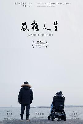 及格人生电影HD国语