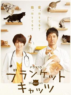 毛毯猫电视剧全7集