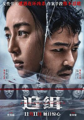 追缉电影HD国语