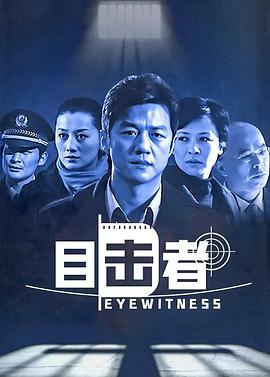 目击者2006电视剧全20集