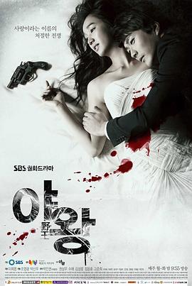 野王(2013)电视剧全24集