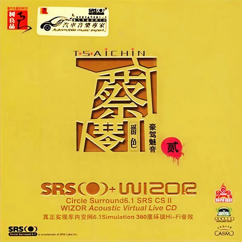 希望还能遇见你歌词-蔡琴