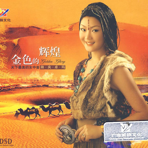 阿尔斯楞的眼睛歌词-降央卓玛